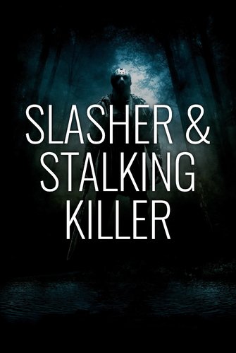 Slasher & Stalking Killer poster
