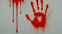 Horror Bloody Hand